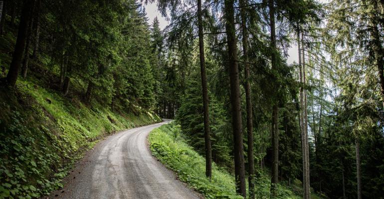 A dirt road leads through an alpine forest near Feistritz am Kammersberg, Austria