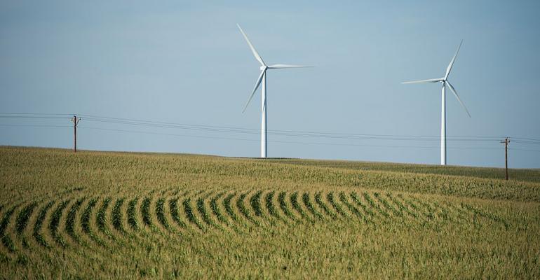 Wind turbines spin above corn fields near Carroll, Iowa