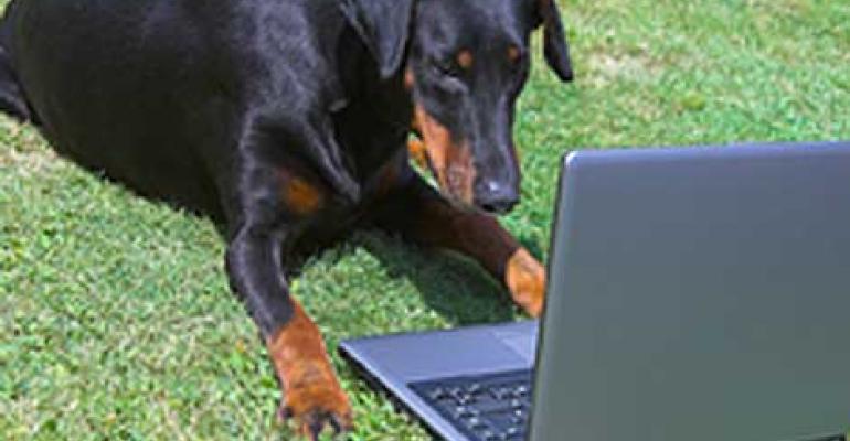Pets in the Clouds: CyberlinkASP Cloudifies Veterinary Records