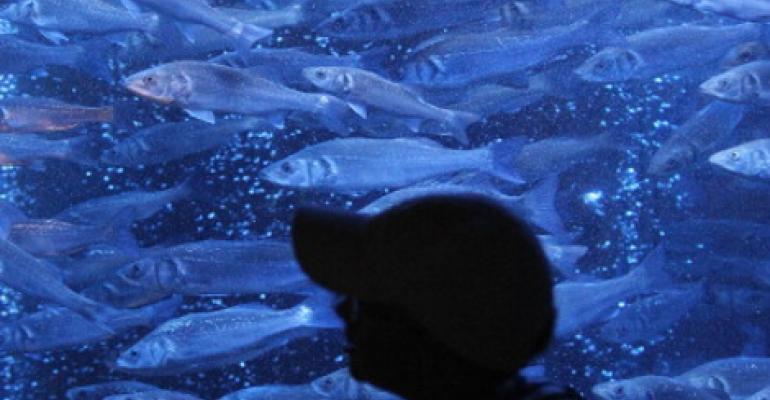 Project Seeks to Combine Sustainable Fish Farm and Data Center