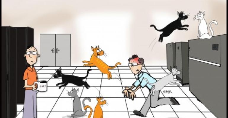 Friday Funny: Herding Cats on the Raised Floor
