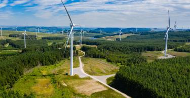 Wind turbines, green landscape
