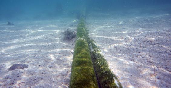 NTT and NEC Eye a Huge Increase in Subsea Cable Capacity