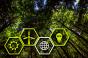 Four Sustainability Icons in Hexagon Shape in Front of a Lush Green Forest for data center sustainability