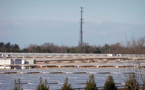 One of Apple's solar farms in North Carolina. (Image: Apple)