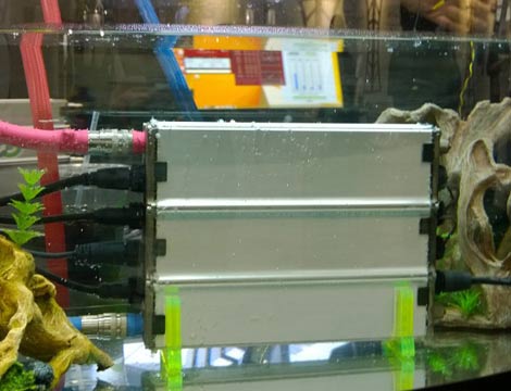 LiquidCool Solutions shows off servers immersed in a tank of liquid coolant at the SC14 conference in New Orleans. (Photo: Rich Miller)